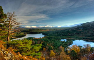 les distilleries de la vallée de la Speyside